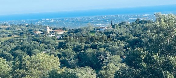  Land in Faro, Portugal No. 157236 12