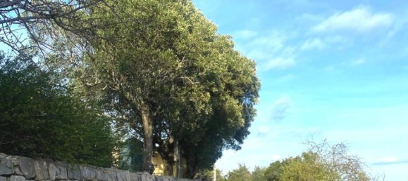  Land in Faro, Portugal No. 157236 9