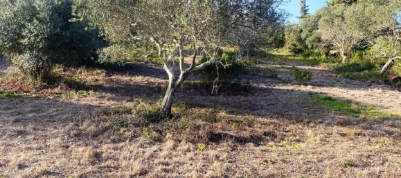  Land in Faro, Portugal No. 157236 3