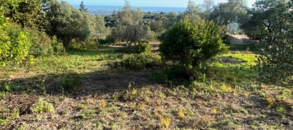  Land in Faro, Portugal No. 157236 5