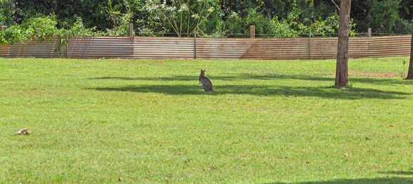 Granja de 4 dormitorios en Imbil, Australia No. 894 2