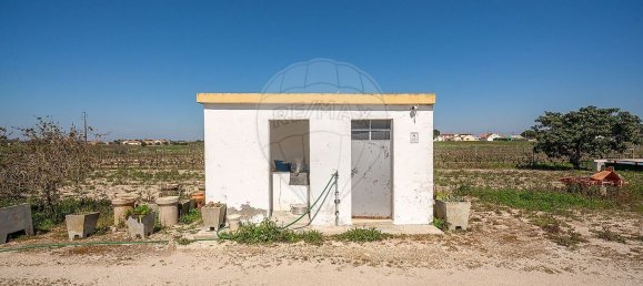 1 chambre Maison à Palmela, Portugal No. 68412 41