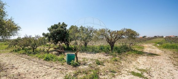 1 chambre Maison à Palmela, Portugal No. 68412 45