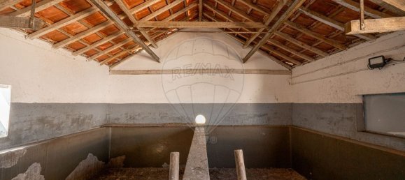 1 chambre Maison à Palmela, Portugal No. 68412 33