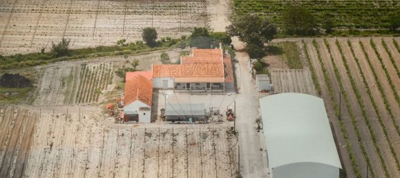 1 chambre Maison à Palmela, Portugal No. 68412 19