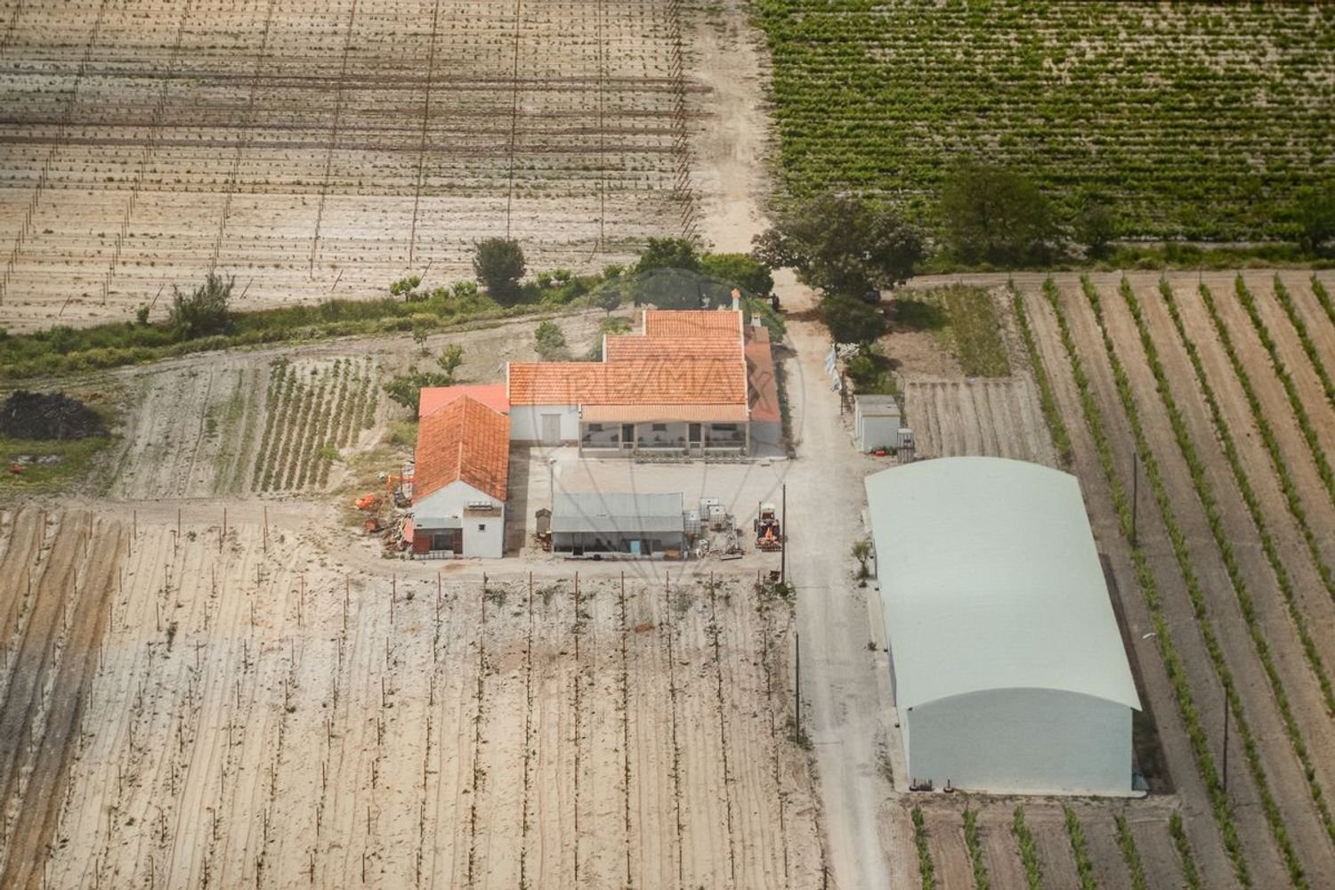 1 chambre Maison à Palmela, Portugal No. 68412