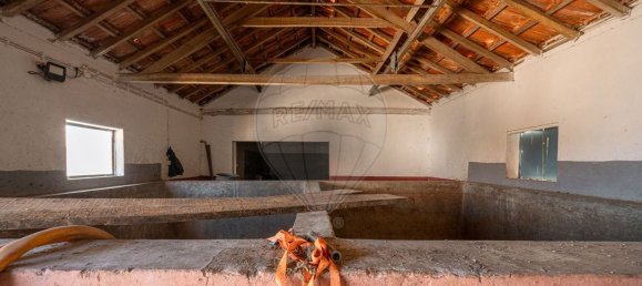 1 chambre Maison à Palmela, Portugal No. 68412 31