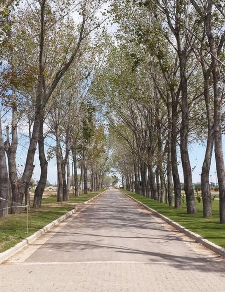 Grundstück in Esteban Echeverria, Argentina, Nr. 39977