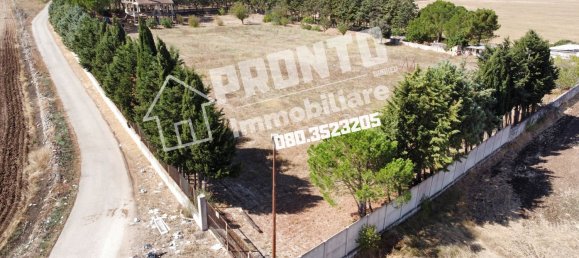 8-Zimmer Haus in Altamura, Italy, Nr. 84831 9