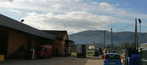 Entrepôt à Artena, Italy 1352m² No. 205855 38