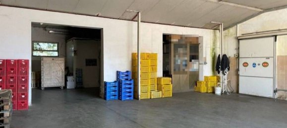 Entrepôt à Artena, Italy 1352m² No. 205855 22