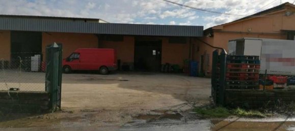 Entrepôt à Artena, Italy 1352m² No. 205855 15