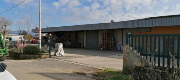 Entrepôt à Artena, Italy 1352m² No. 205855 23