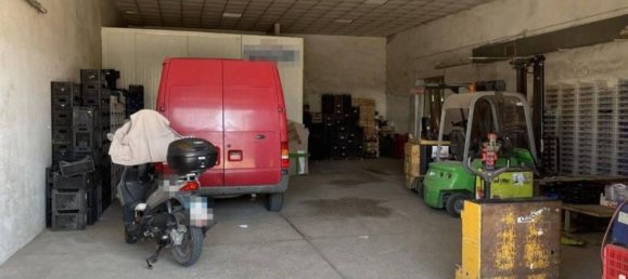 Entrepôt à Artena, Italy 1352m² No. 205855 35