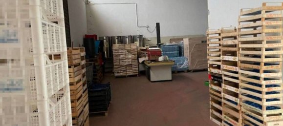 Entrepôt à Artena, Italy 1352m² No. 205855 14