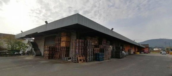 Entrepôt à Artena, Italy 1352m² No. 205855 25