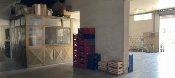 Entrepôt à Artena, Italy 1352m² No. 205855 11