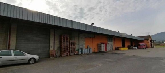 Entrepôt à Artena, Italy 1352m² No. 205855 39