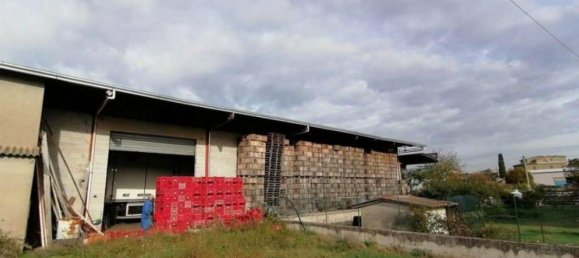 Entrepôt à Artena, Italy 1352m² No. 205855 18