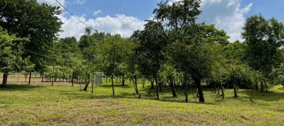 4 rooms Apartment in Corte Brugnatella, Italy No. 17308 7