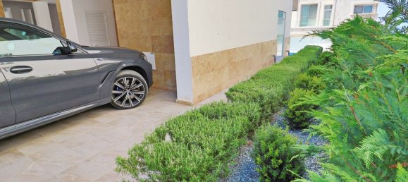 2 Schlafzimmer Villa in Kissonerga, Cyprus, Nr. 22105 18