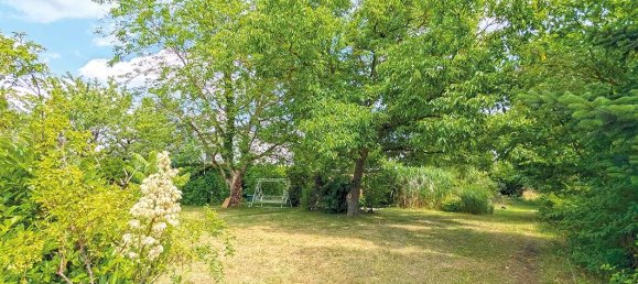  قطعة أرض في Potsdam-Mittelmark, Germany رقم 224225 4