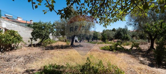 3 bedrooms House in Abrantes, Portugal No. 29086 6