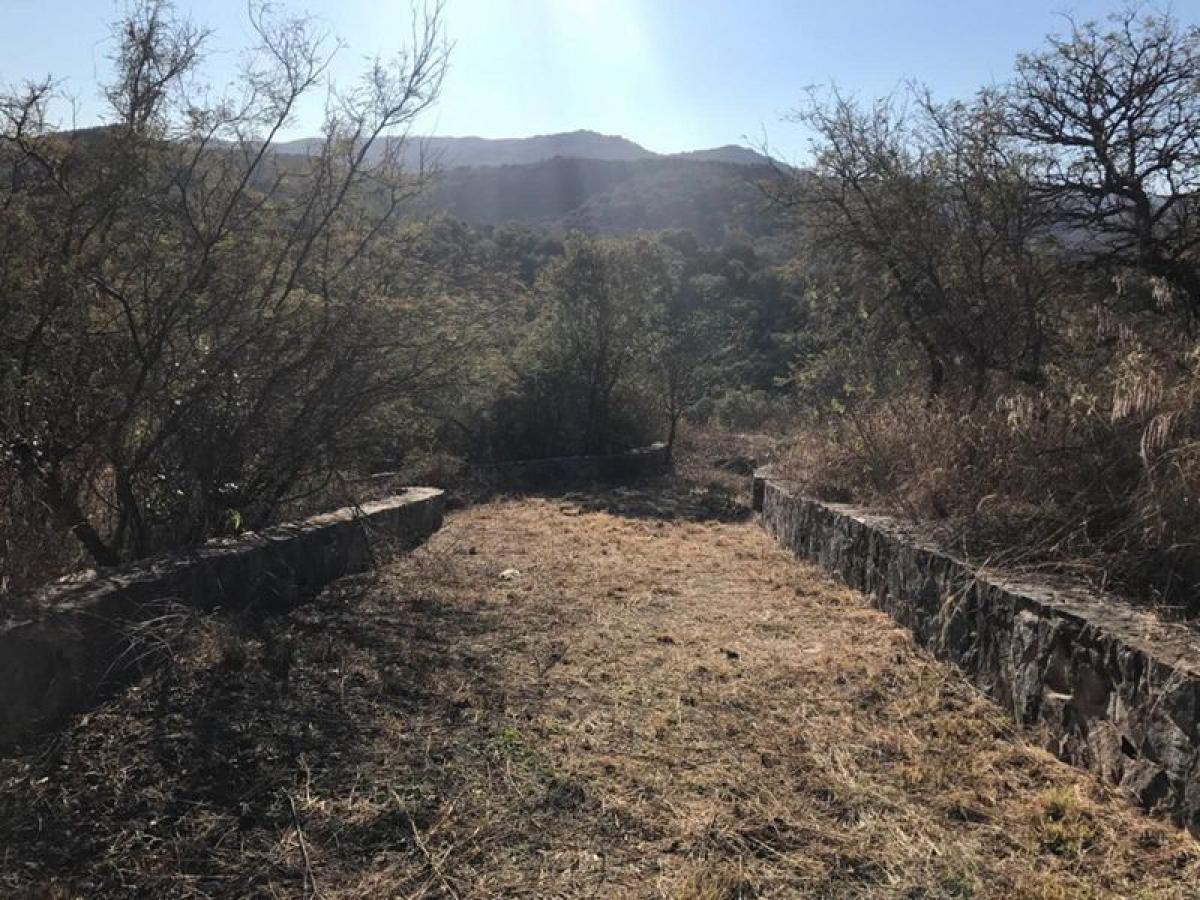 Terrain à Cordoba, Argentina No. 36223