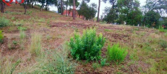 قطعة أرض في Barcelona, Spain رقم 113360 4