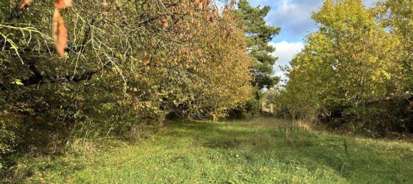 Adosado de 2 dormitorios en Gotha, Germany No. 154969 16