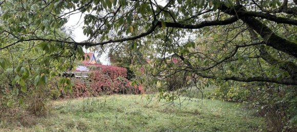 Adosado de 2 dormitorios en Gotha, Germany No. 154969 17