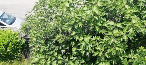 3 bedrooms Apartment in Seregno, Italy No. 378437 17