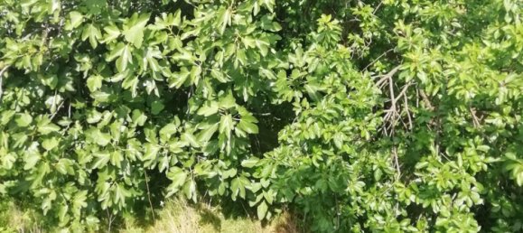 3 bedrooms Apartment in Seregno, Italy No. 378437 25