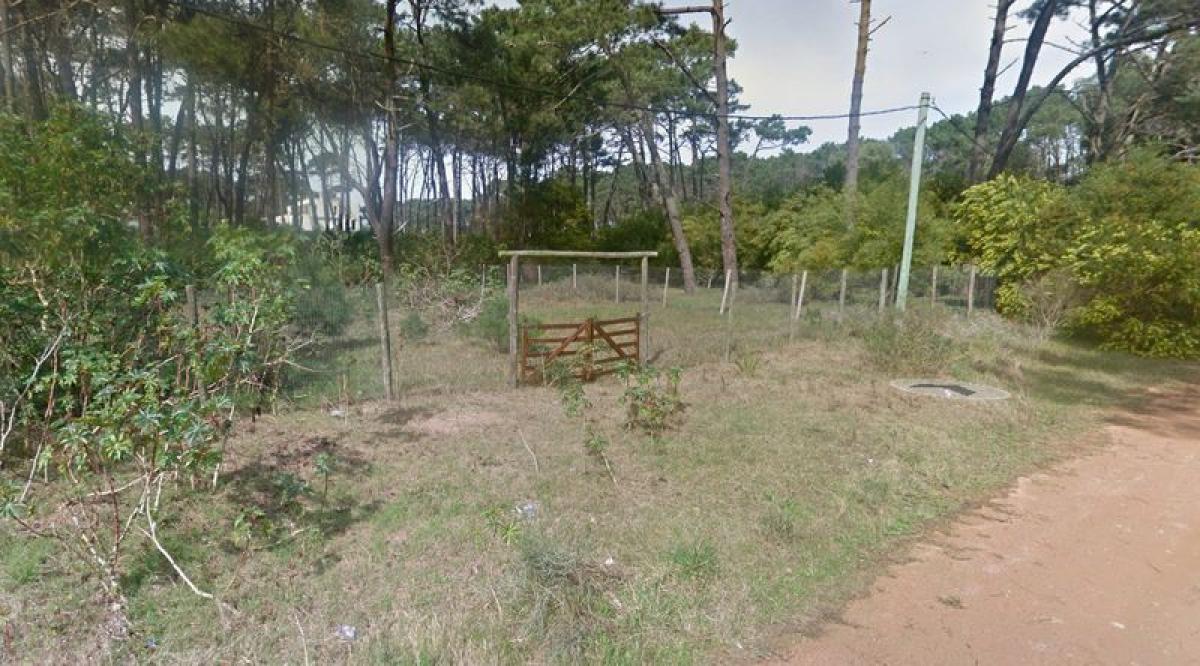 Grundstück in Maldonado, Uruguay, Nr. 15658