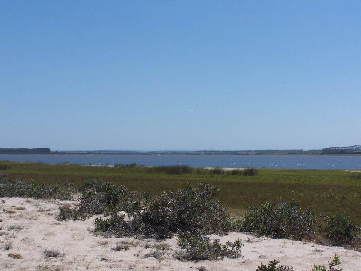  Land in Rocha, Uruguay No. 15282