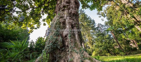 7-Zimmer Villa in Alserio, Italy, Nr. 115623 36