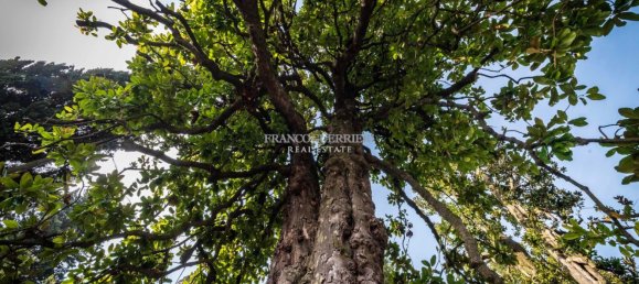 7-Zimmer Villa in Alserio, Italy, Nr. 115623 39