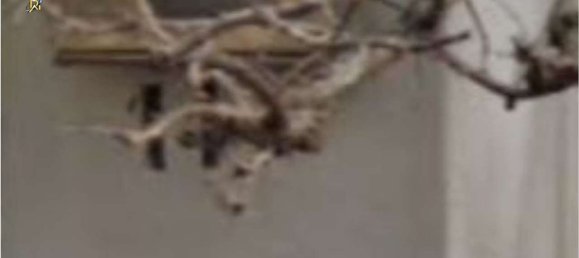 5 rooms Apartment in Tortora, Italy No. 183941 33