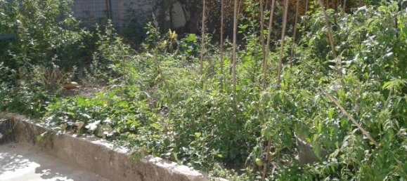 6 rooms Villa in Garessio, Italy No. 224830 10