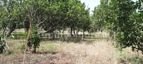 3 bedrooms Villa in Terrasini, Italy No. 154439 7