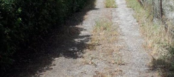 3 bedrooms Villa in Terrasini, Italy No. 154439 12