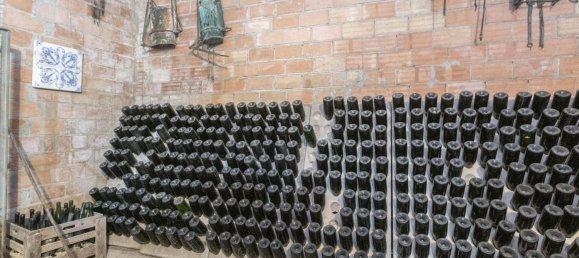 Casa de 12 dormitorios en Torrelavit, Spain No. 109181 16