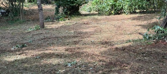 Земельный участок в Восточный Альб, Германия № 294161 6