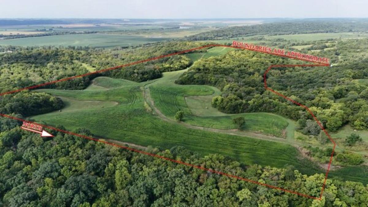  Land in Amazonia, USA No. 484379