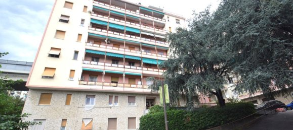 1 chambre Appartement à Genoa, Italy No. 312687 15