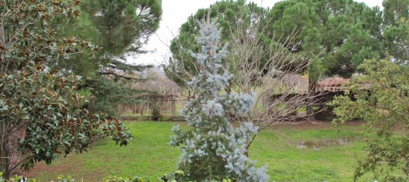 5 bedrooms Commercial property in Katerini, Greece No. 4362 18