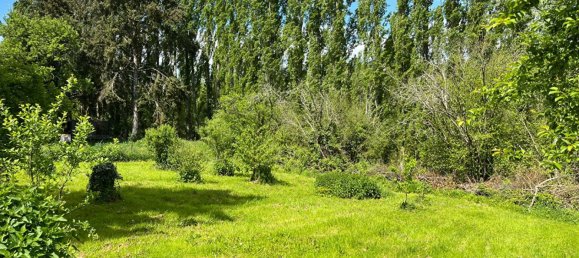 3 chambres Maison à Saint-Pierre-les-Étieux, France No. 70691 12