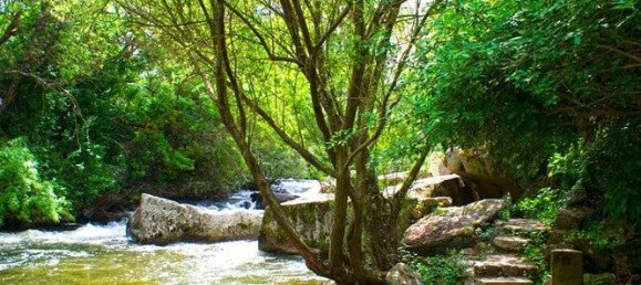 Terreno en Segovia, Spain 7800 m² No. 28646 11