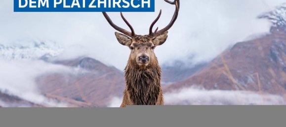 Casa de 7 divisões em Steinfurt, Germany N.º 20582 57