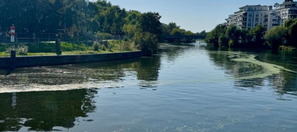 1 chambre Appartement à Charlottenburg, Germany No. 326906 15